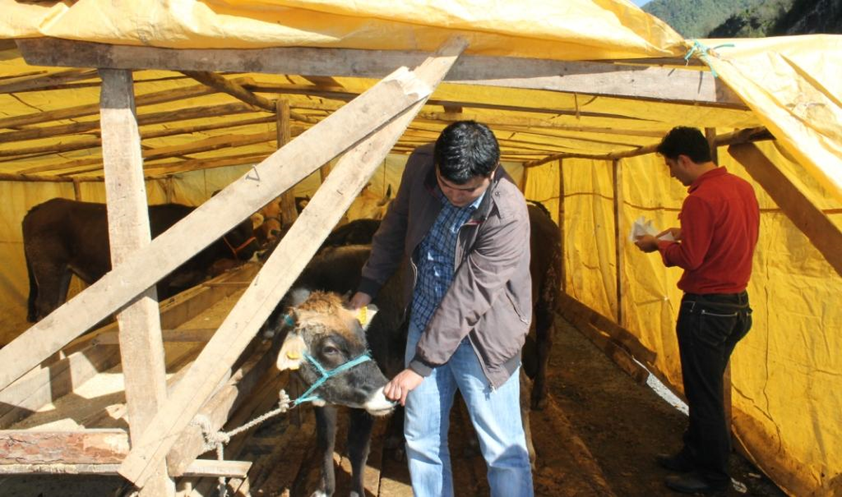 Kurban Bayramı\'na Doğru