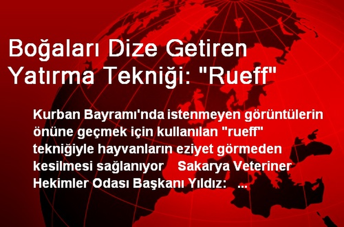 Boğaları Dize Getiren Yatırma Tekniği: "Rueff"