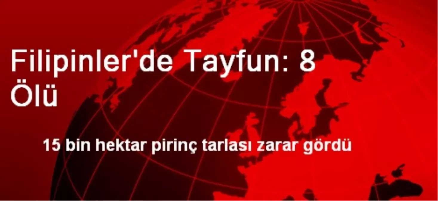 Filipinler\'de Tayfun: 8 Ölü