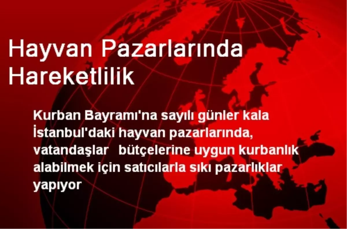 Hayvan Pazarlarında Hareketlilik