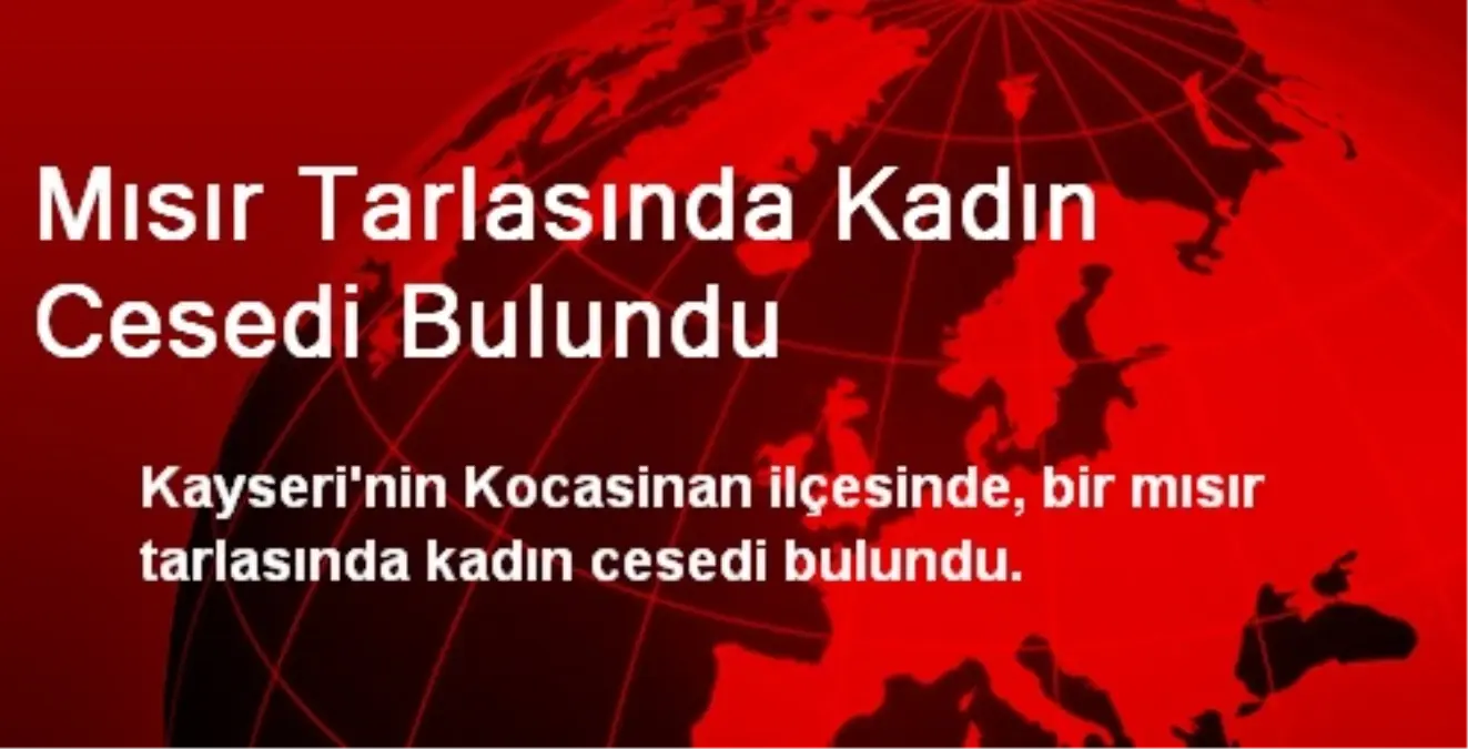 Mısır Tarlasında Kadın Cesedi Bulundu