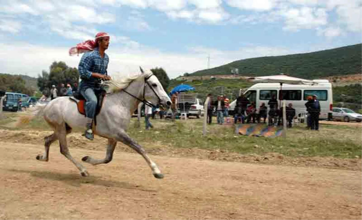 Side Rahvan At Yarışlarının Yedincisi Gerçekleştirildi