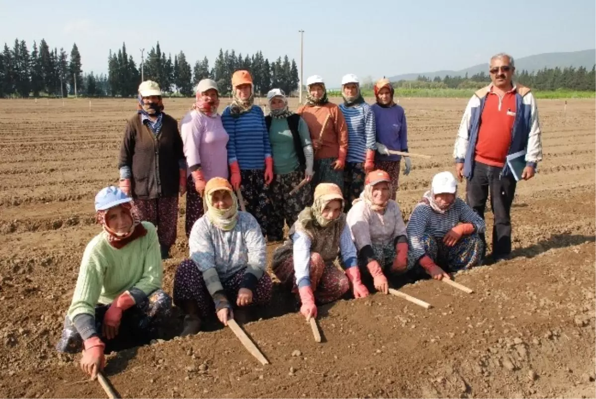 Torbalı Fidanlığı 2014 Yılından Umutlu