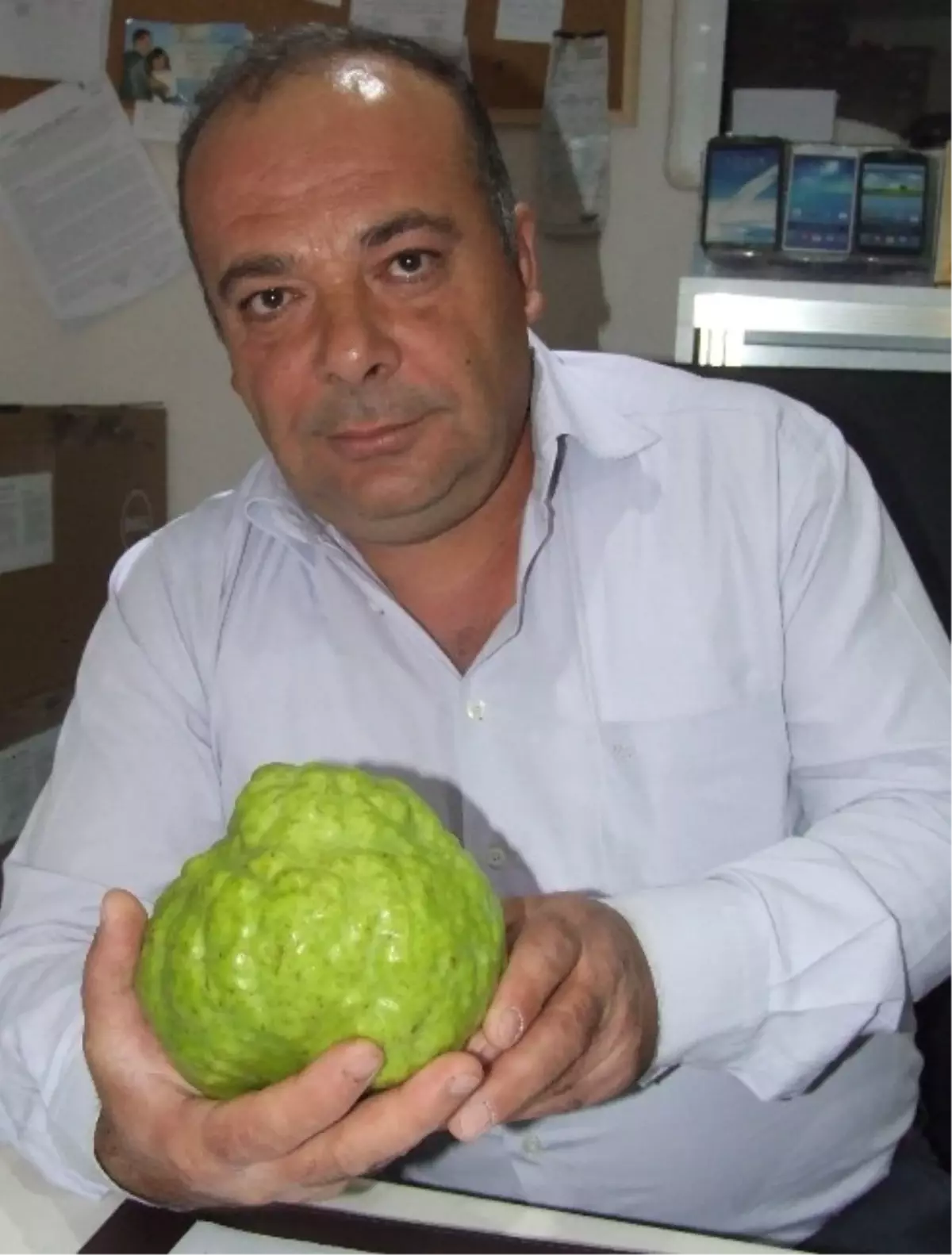 1 Kilo 370 Gramlık Armut