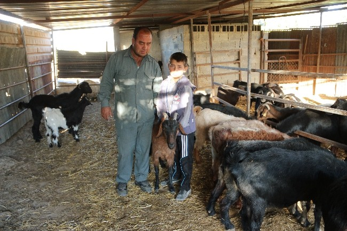 Ağıldan Kurbanlık Keçi Çalan 2 Kişi Yakalandı