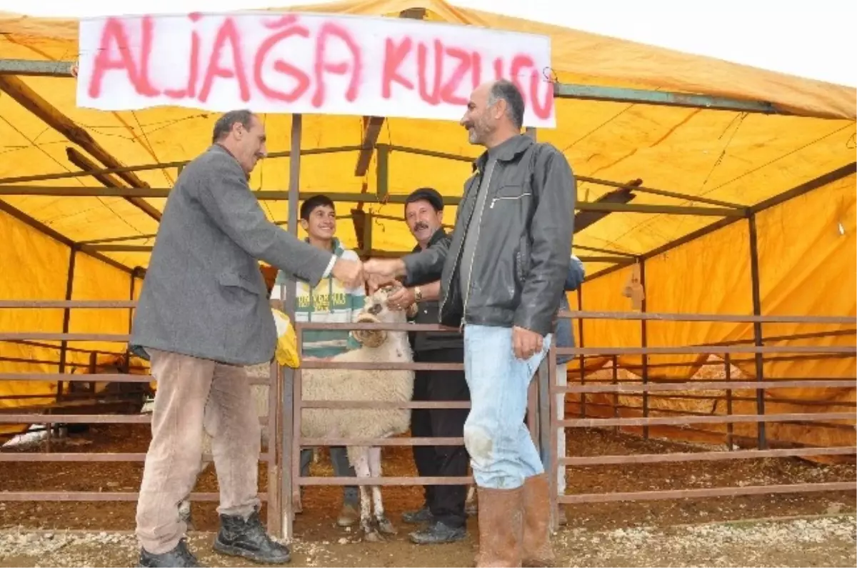 Aliağa Belediyesi\'nden Modern Kurban Satış Alanı