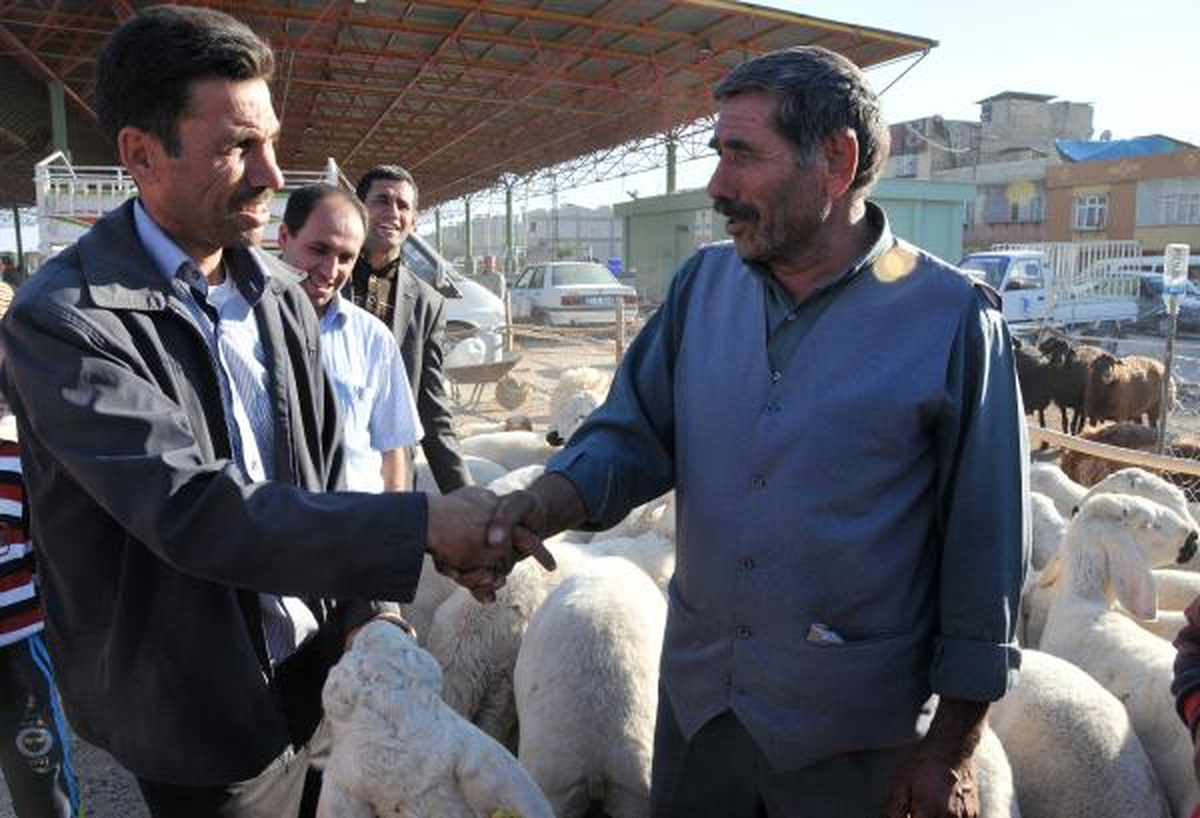 Gaziantep\'te Kurban Pazarları Haraketlendi