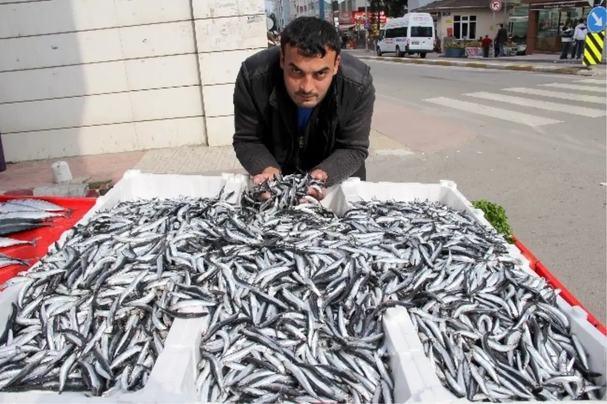 Kurban Bayramı Yaklaştı, Hamsi 3 Liraya Düştü