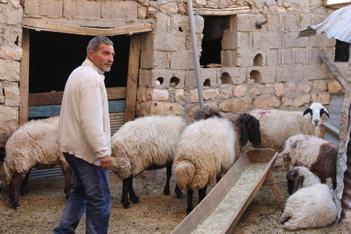 Kurbanlık Pazarında Bayram Hareketliliği