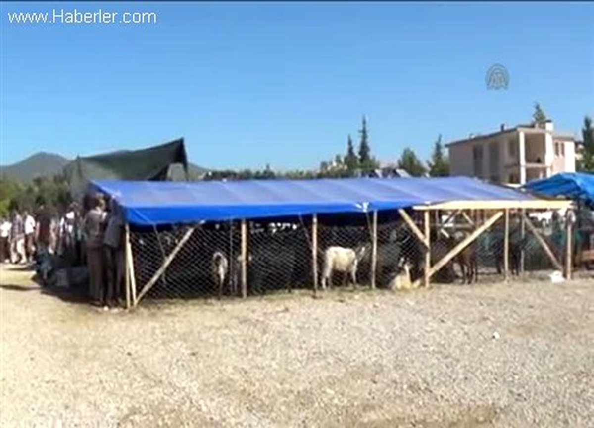 Kurbanlık var, alıcı yok