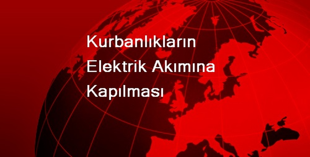 Kurbanlıkların Elektrik Akımına Kapılması