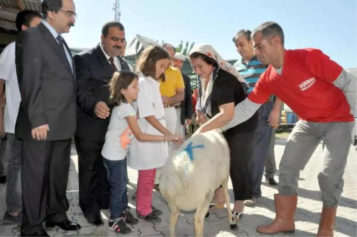 Yoksul Ailelere Kurbanlık Hediye Edildi