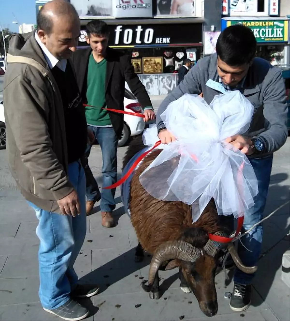 "20 TL\'ye Gelin Koçları Süslenir"