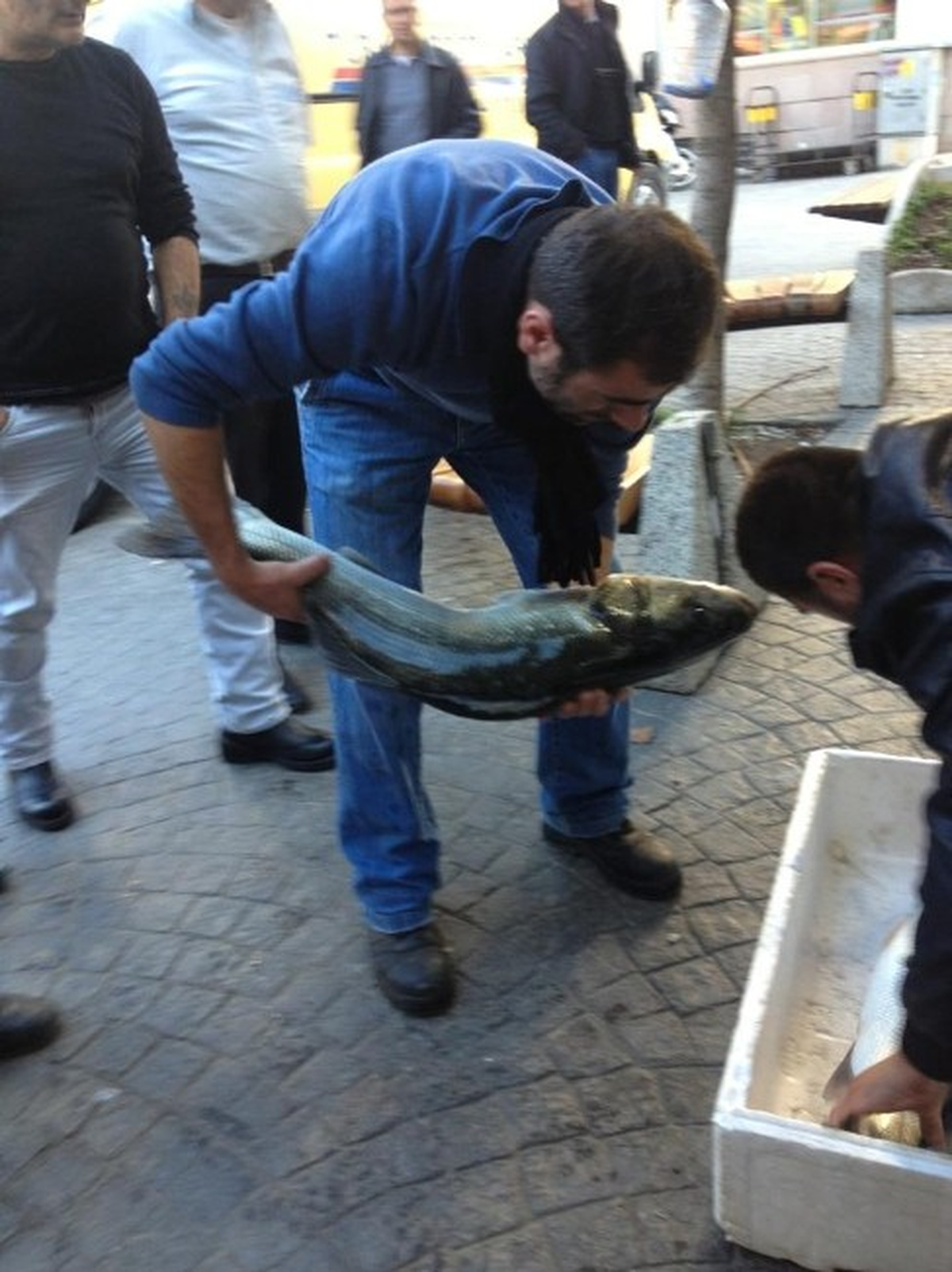 Akçakoca\'da Deniz Levreği Yakalandı