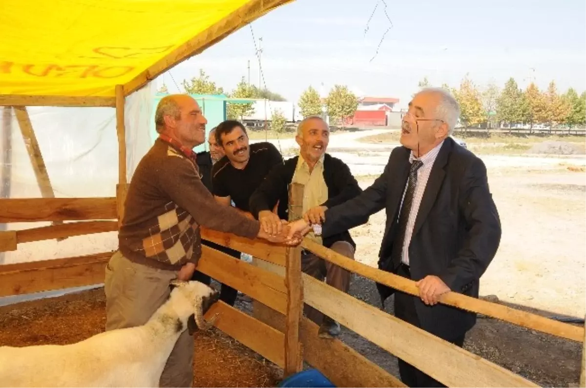 Başiskele Kurban Pazarı Bayramın 4. Gününe Kadar Açık