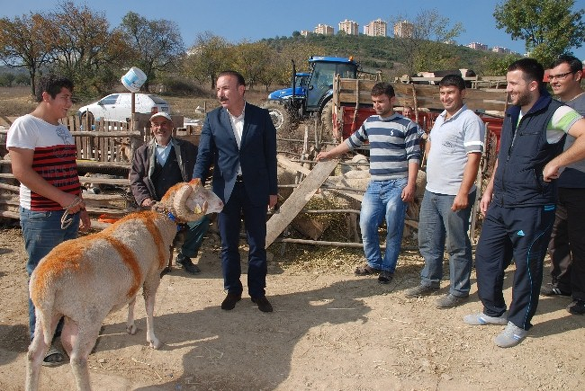 Başkan Doğan Kurban Pazarını Ziyaret Etti