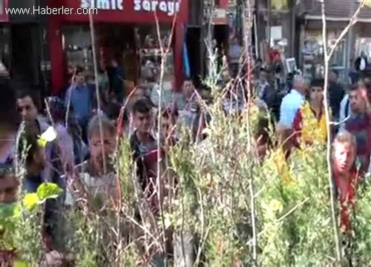 Bayram şekeri yerine fidan