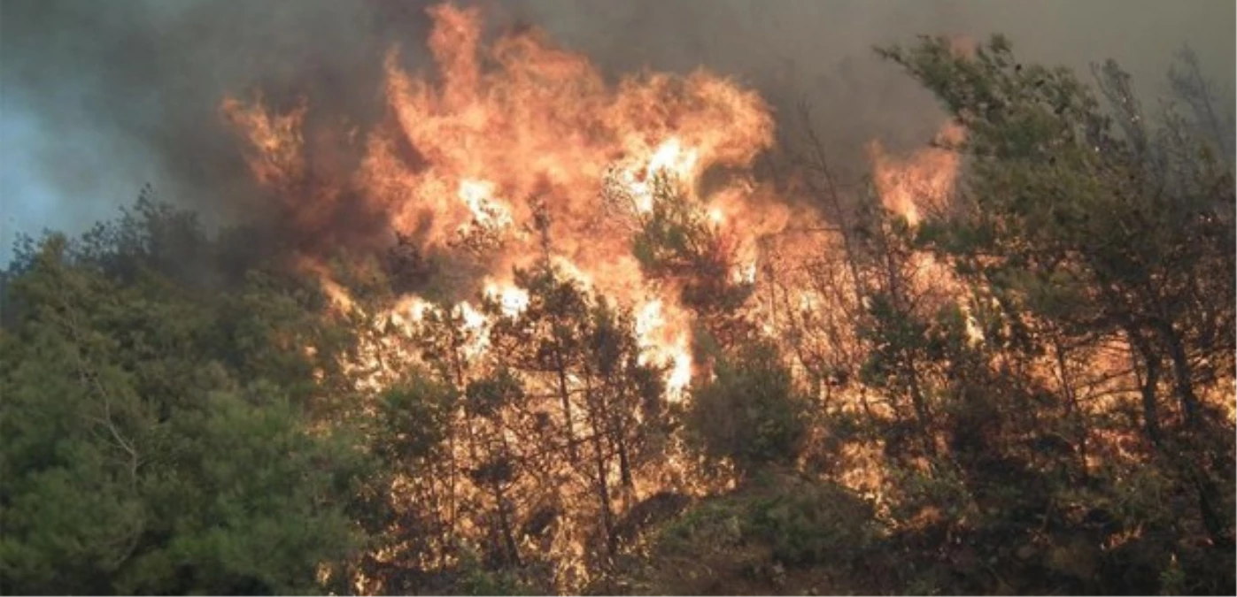 Gazipaşa\'daki Orman Yangını Kontrol Altına Alınamıyor