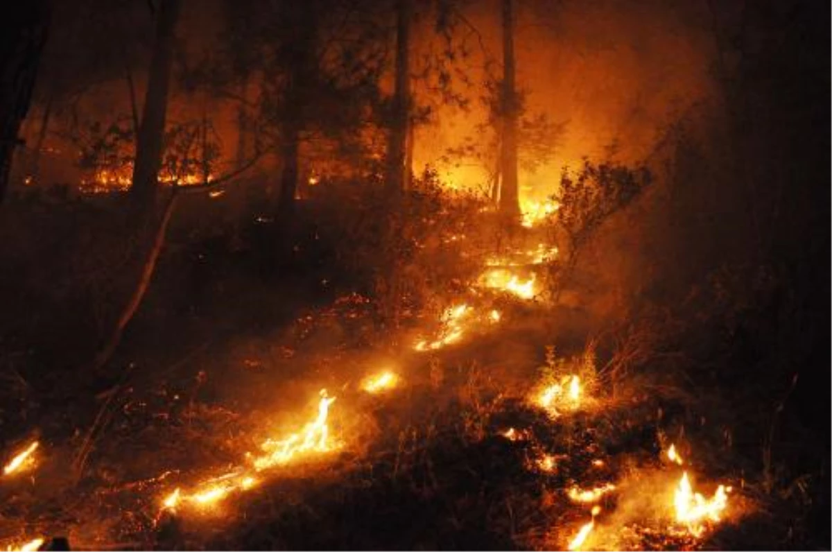 Gazipaşa\'daki Orman Yangını