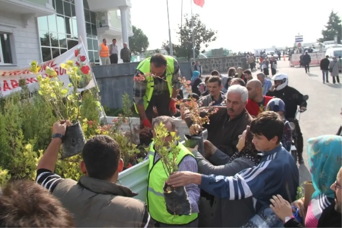 İlkadım\'dan Ücretsiz Fidan Dağıtımı