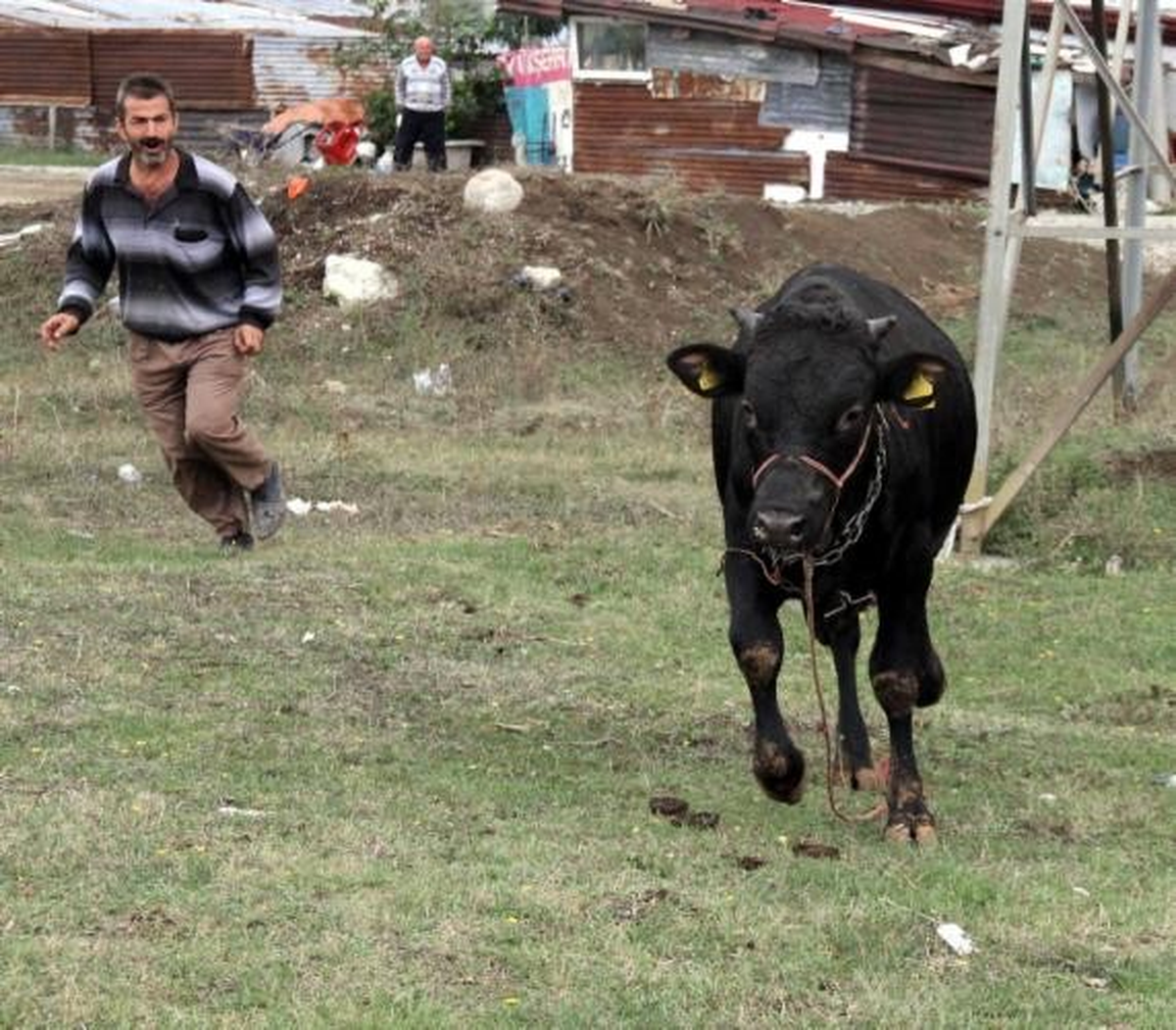 "Kaçan Kurbanlığı Kovalamayın"