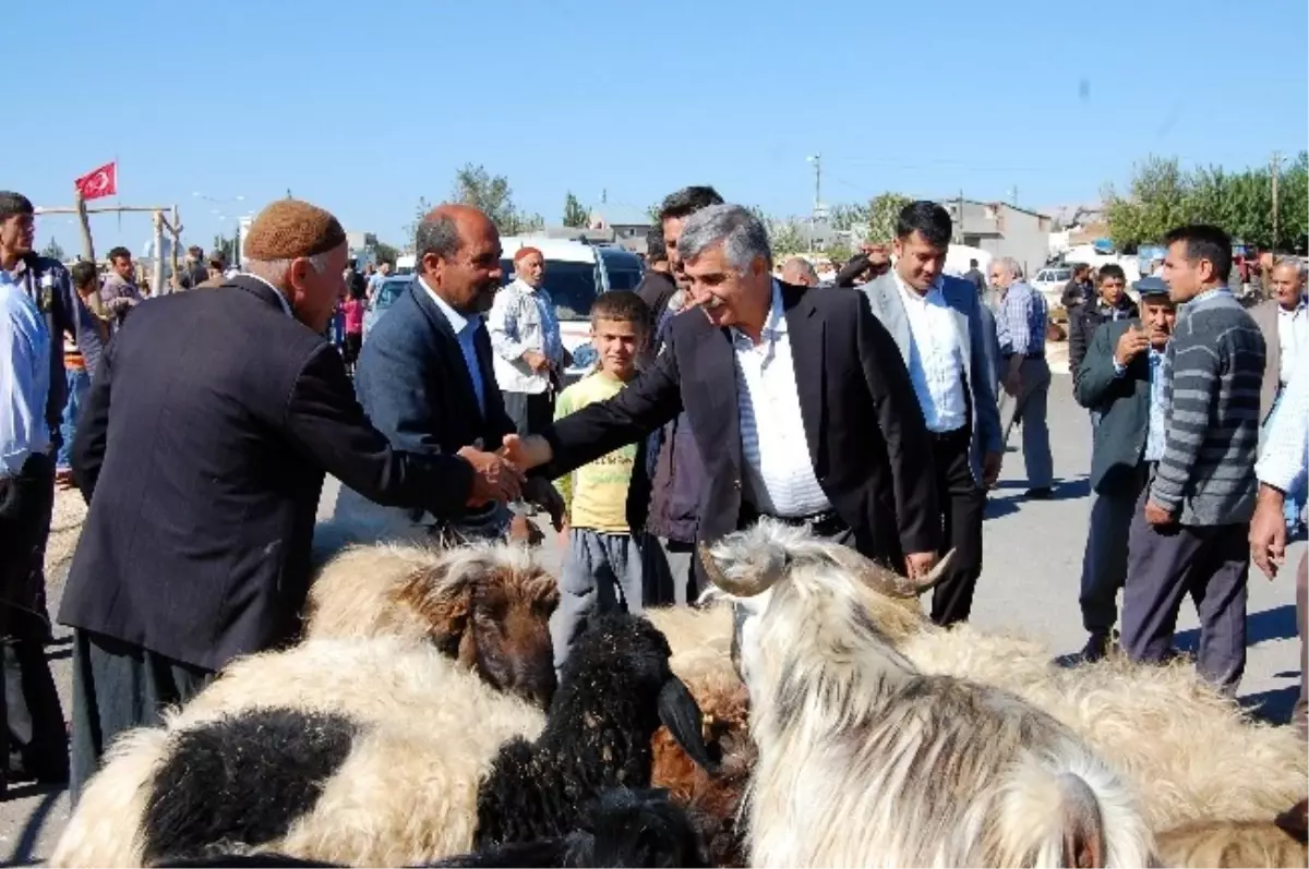 Kurban Pazarında Son Gün Yoğunluğu