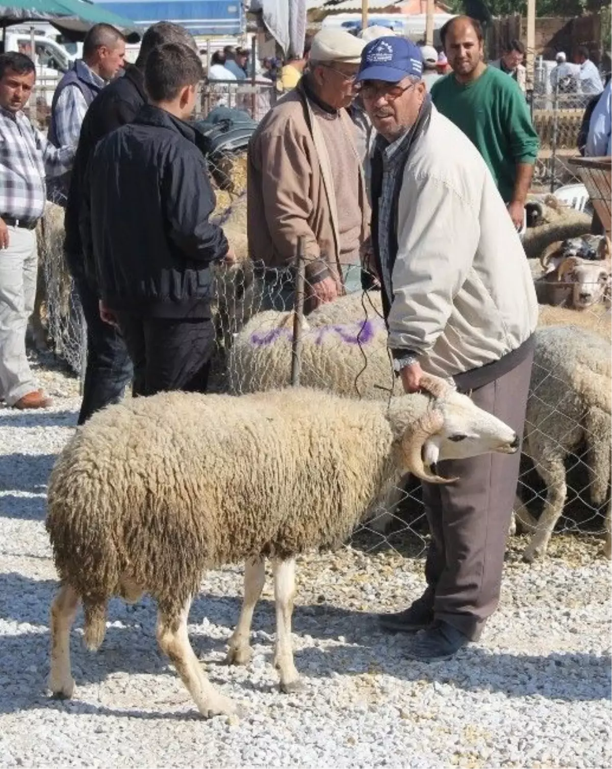Kurban Pazarlarında Son Gün Hareketliliği