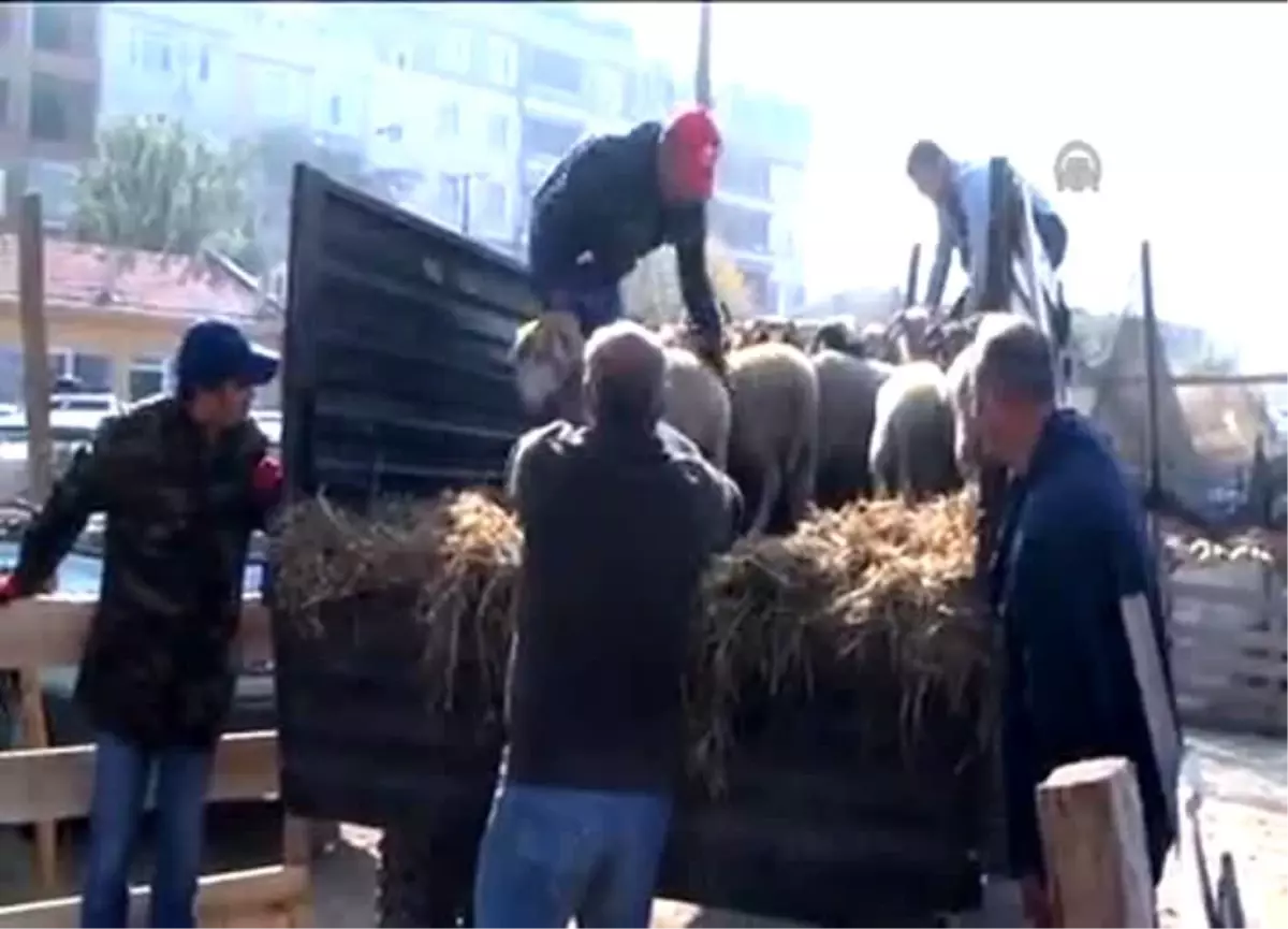 Kurban pazarlarında son gün hareketliliği