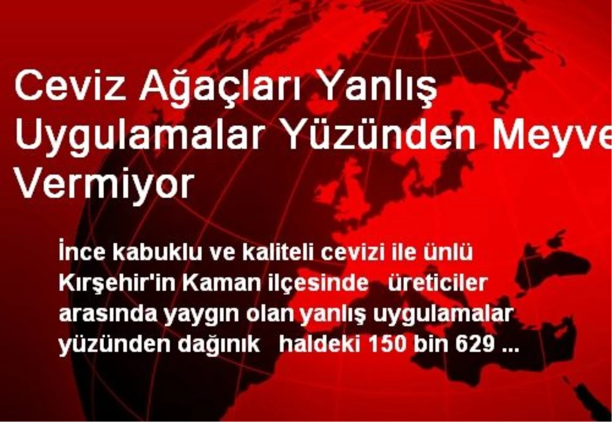 Ceviz Ağaçları Yanlış Uygulamalar Yüzünden Meyve Vermiyor