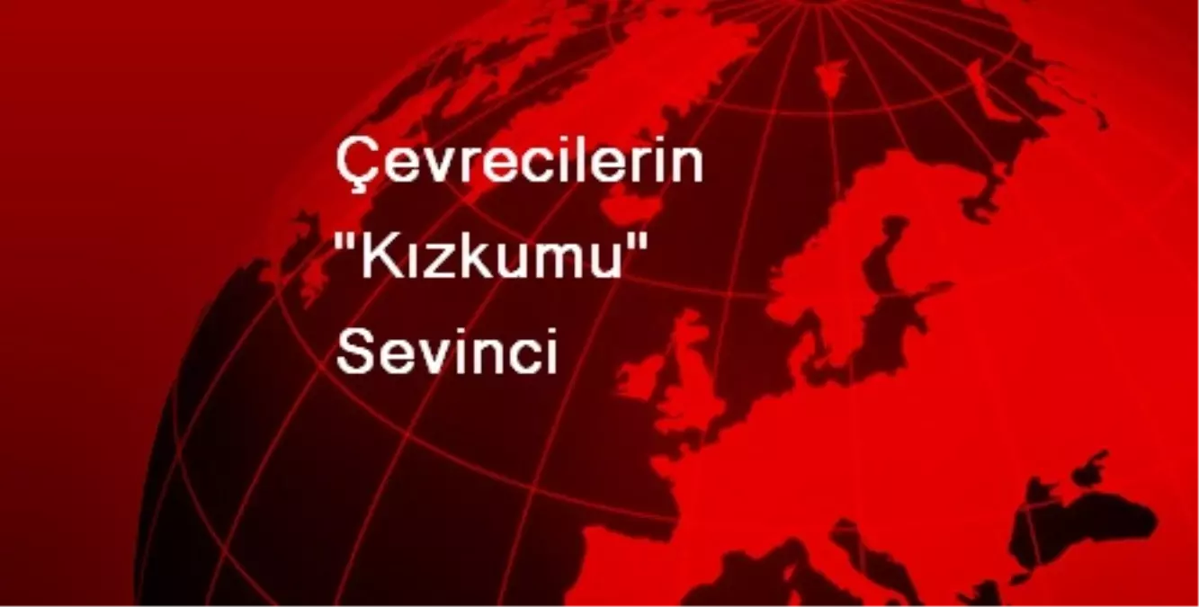 Çevrecilerin "Kızkumu" Sevinci