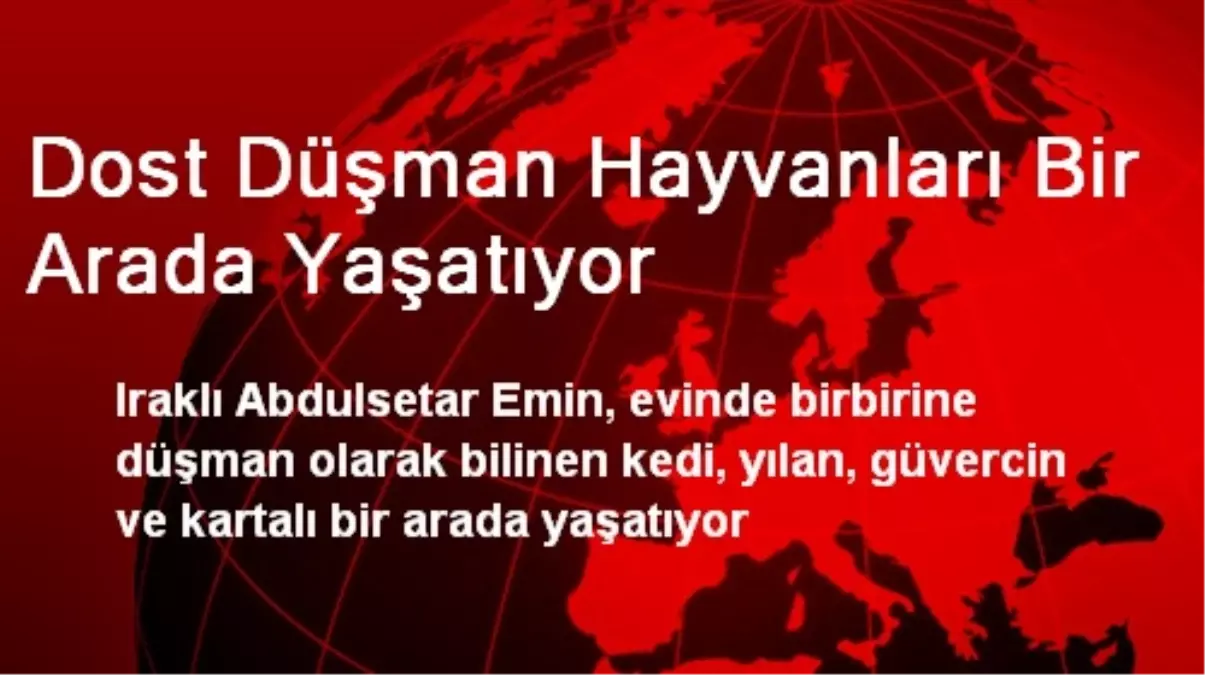 Dost Düşman Hayvanları Bir Arada Yaşatıyor