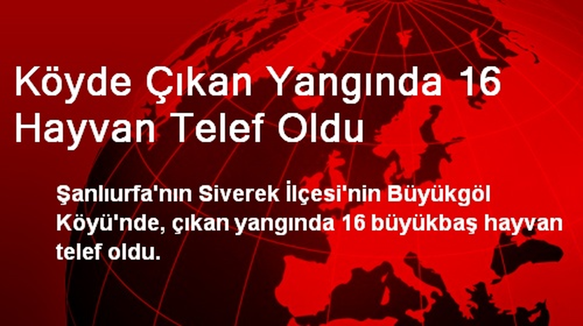 Köyde Çıkan Yangında 16 Hayvan Telef Oldu
