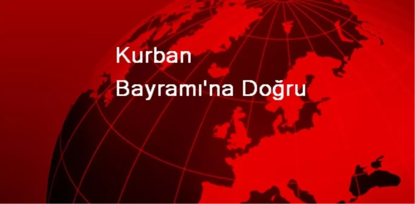 Kurban Bayramı\'na Doğru