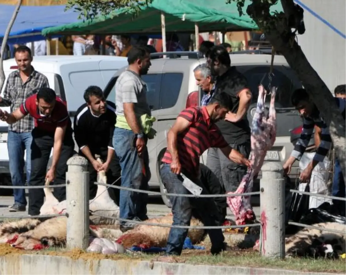 Adana\'da Sokaklarda Kurban Kesim Görüntüleri Azaldı (2)