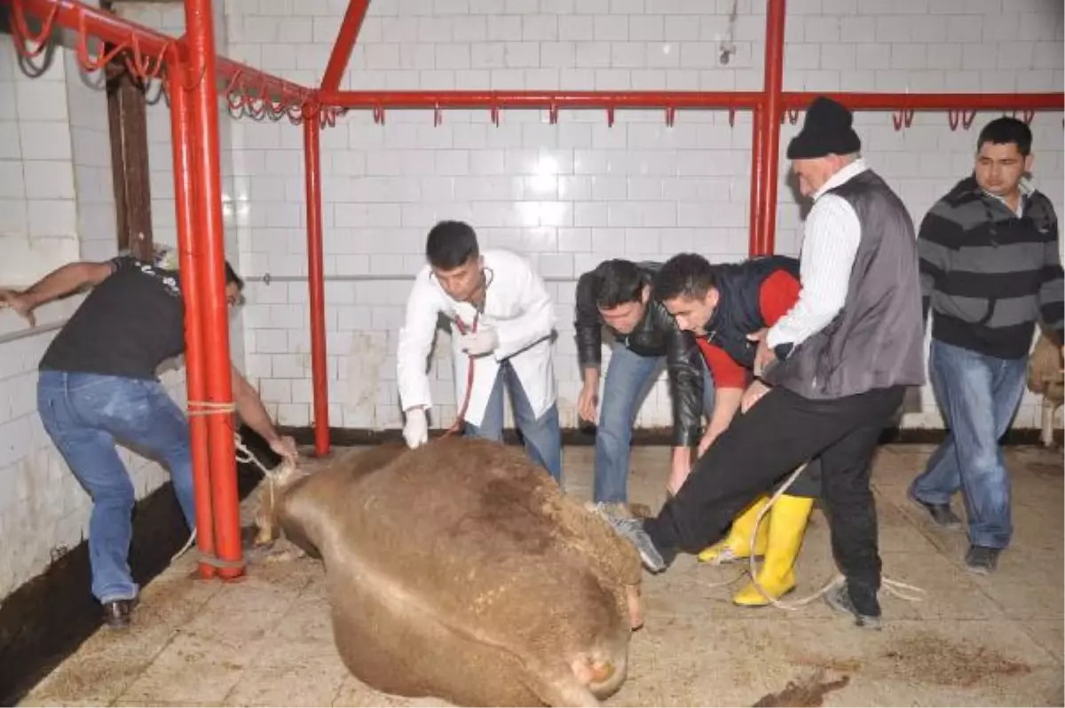 Hakkari\'de Polisin Kurbanı, Yoksullara