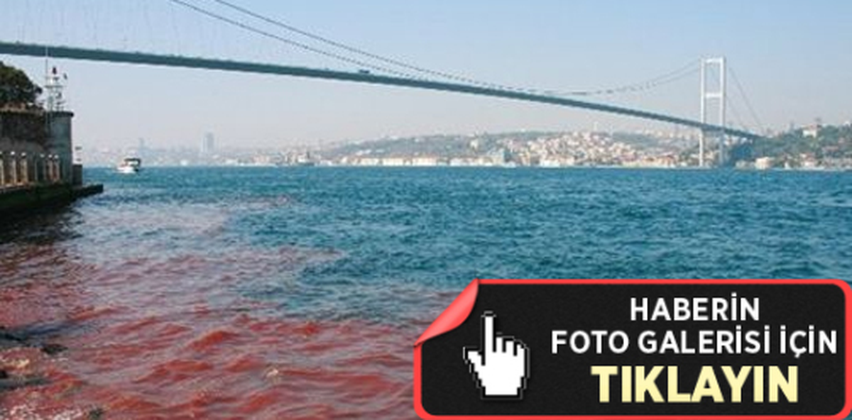 İstanbul Boğazı Yine Kan Gölüne Döndü