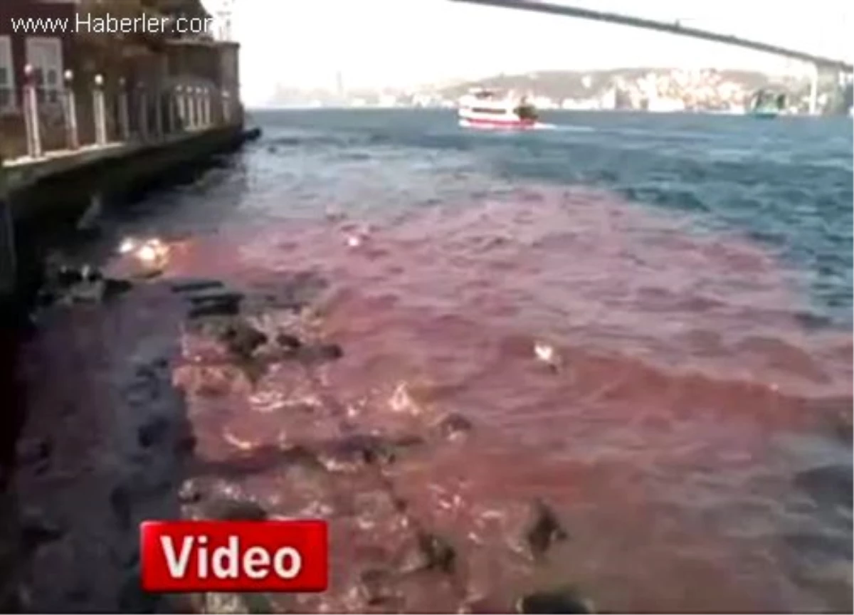 İstanbul Boğazı Yine Kan Gölüne Döndü