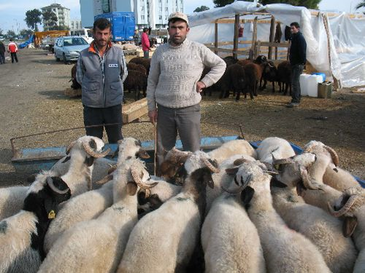 Kurban Bayramı