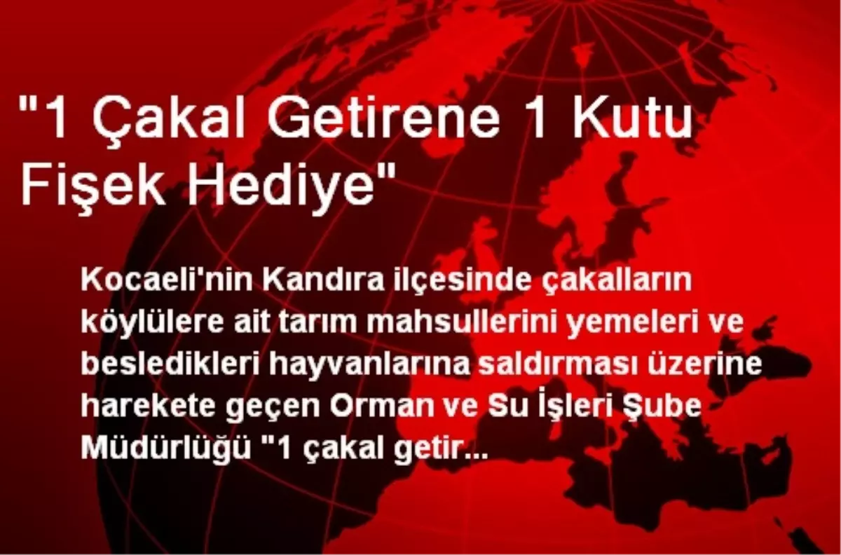 "1 Çakal Getirene 1 Kutu Fişek Hediye"