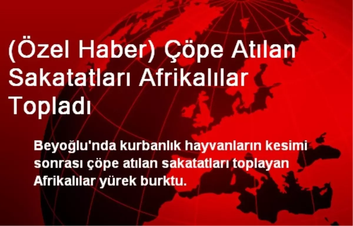 (Özel Haber) Çöpe Atılan Sakatatları Afrikalılar Topladı