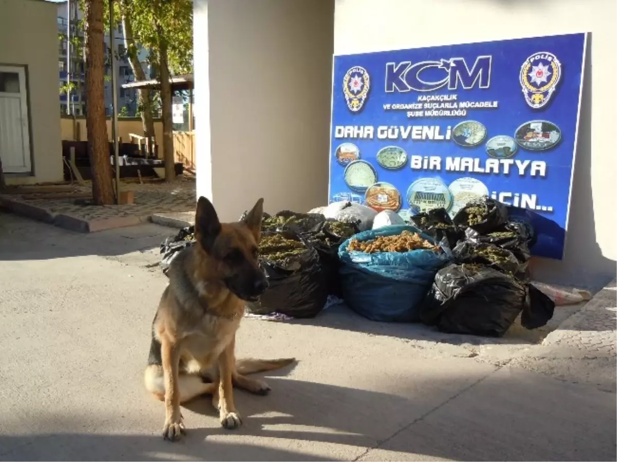 Polis, Esrar Kaçakçılarına Bayram Yaptırmadı