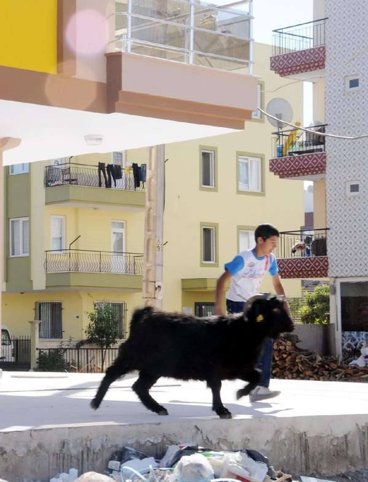 Uyarılara Rağmen Çocuklar Kesimleri İzledi (2)