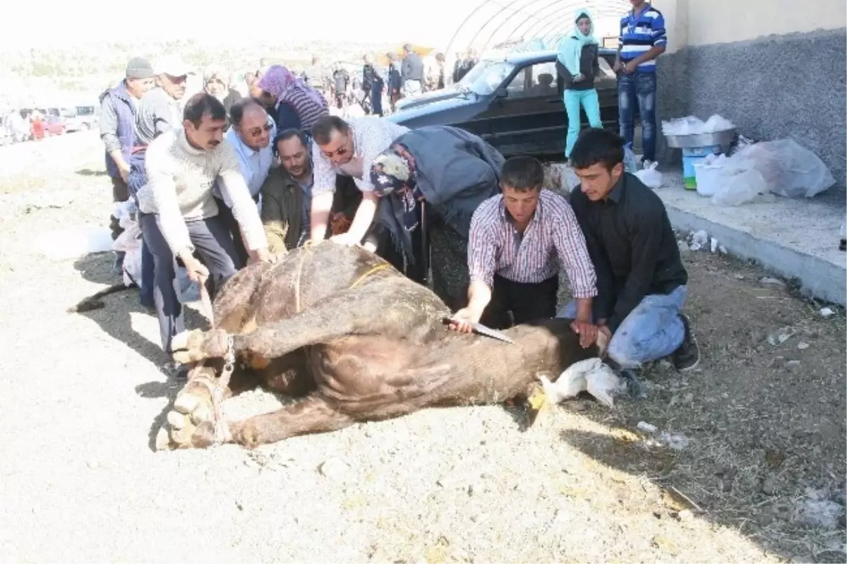 Yozgat\'ta Acemi Kasaplar Hastanelere Akın Etti