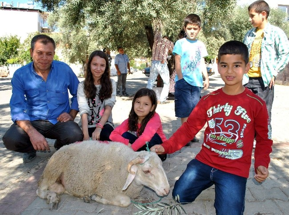 Aydın\'da Bayramın 2. Günü Kurban Telaşı Devam Ediyor