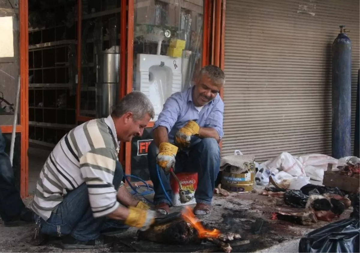 Demirciler, Kelle Ütüleme İşi İçin Hayvan Başı 10 TL Alıyor