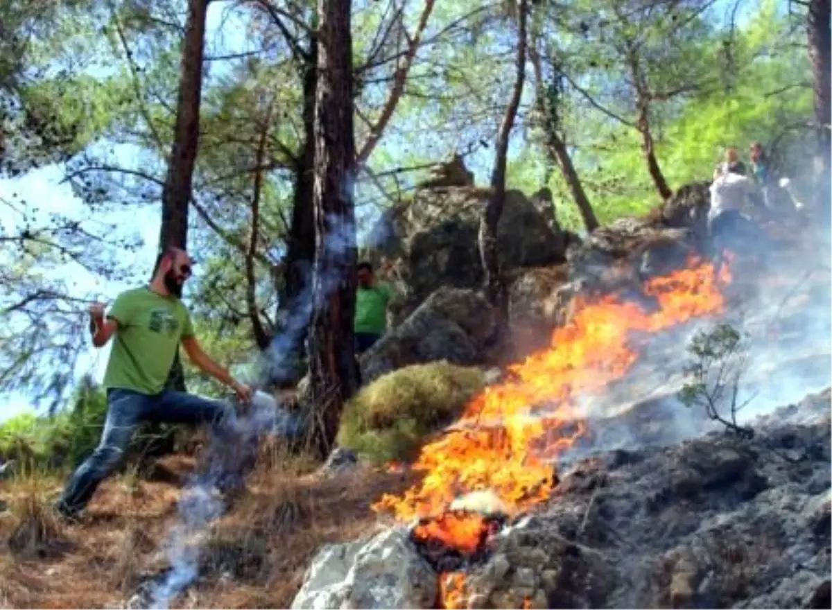 Fethiye\'de Orman Yangını