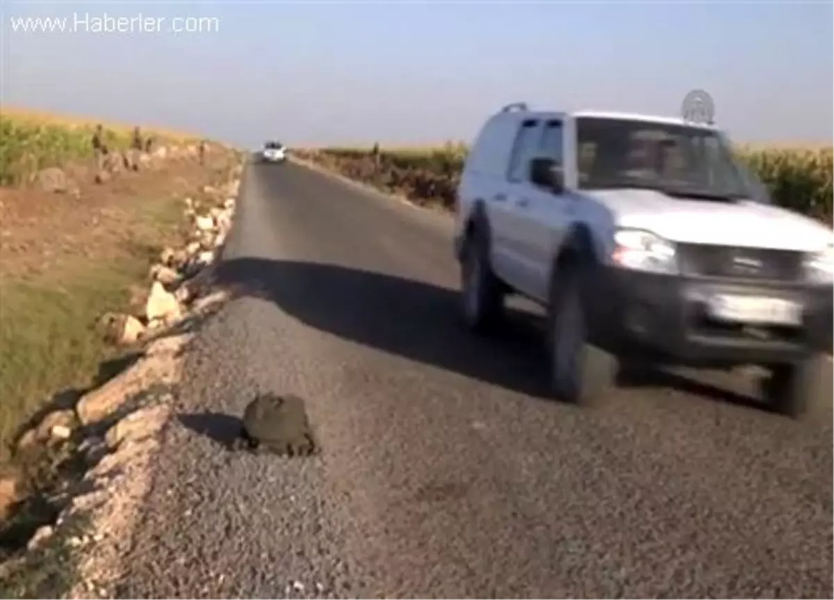 Kayıp Kişi Dedektör Köpekle Aranıyor