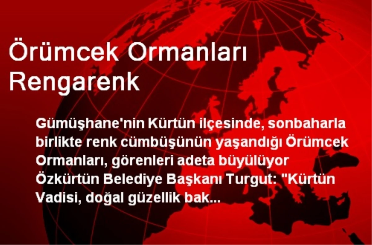 Örümcek Ormanları Rengarenk