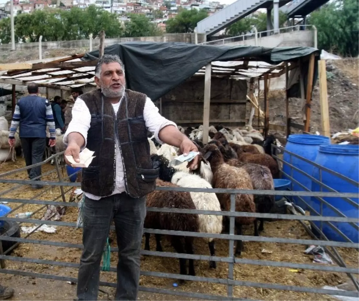 (Özel Haber) Sağnak Yağış, Kurban Fiyatlarını Yüzde 50 Düşürdü