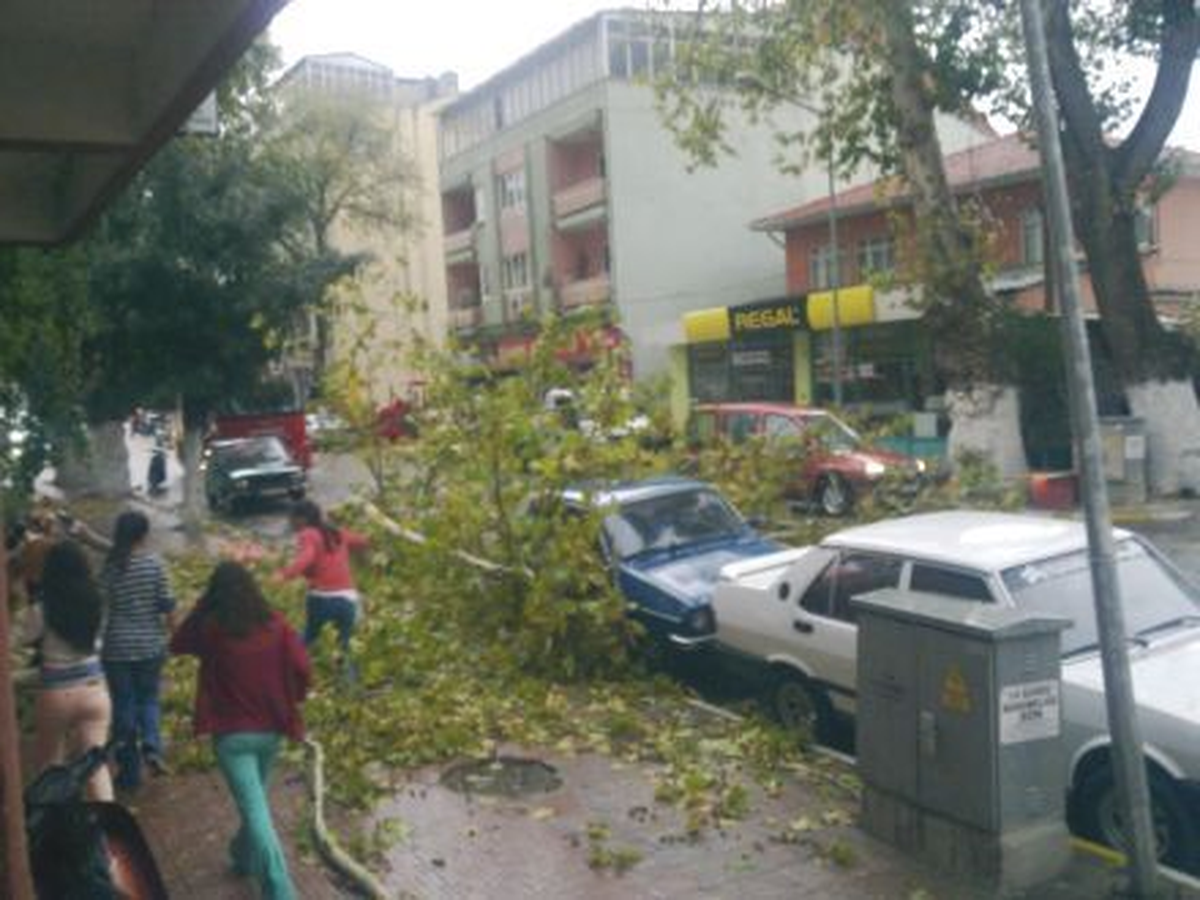 Sındırgı\'da Şiddetli Rüzgar, Ağaçları Devirdi